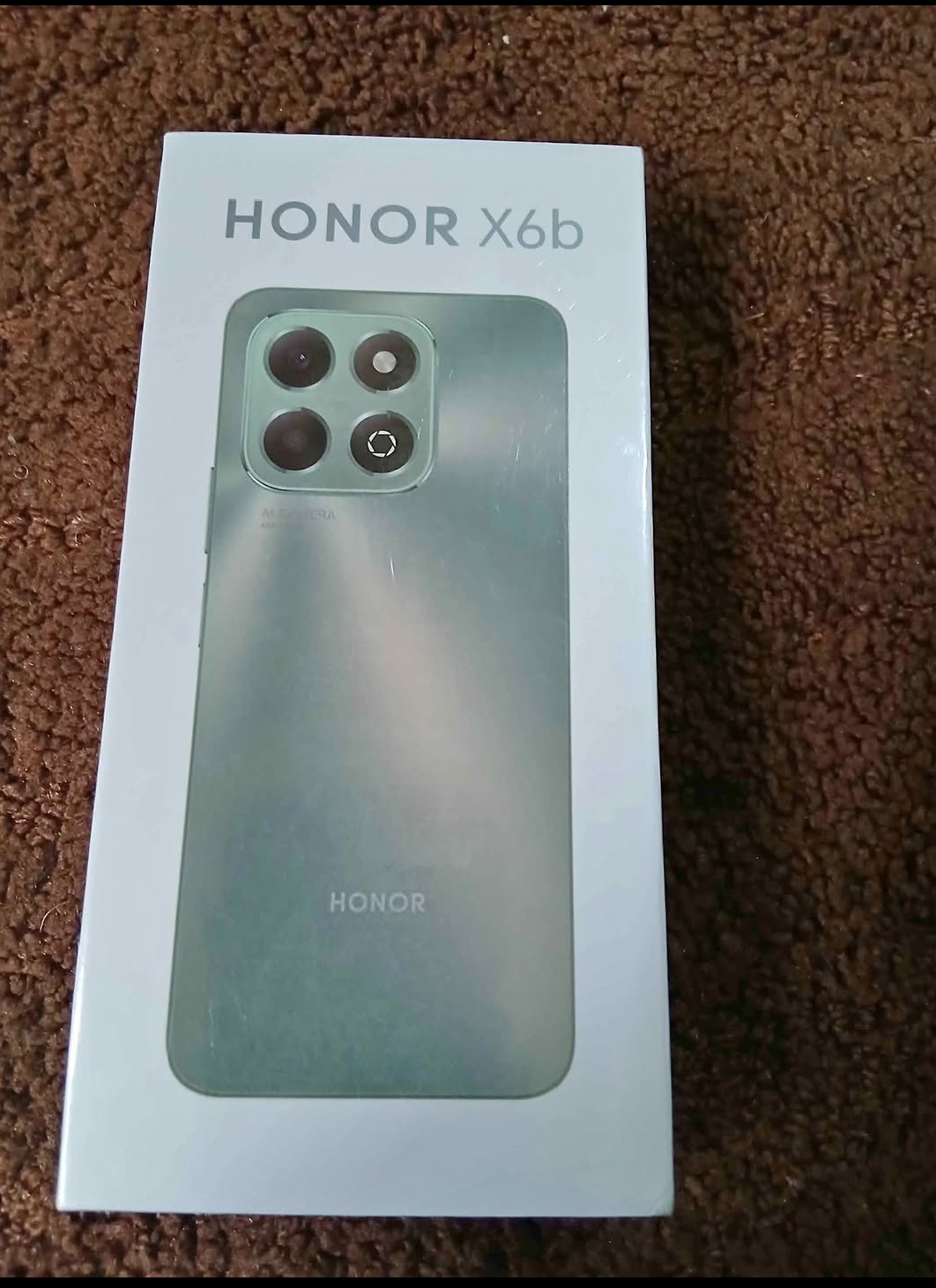 Honor X6b Phone